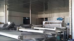 北京60噸豆芽生產線