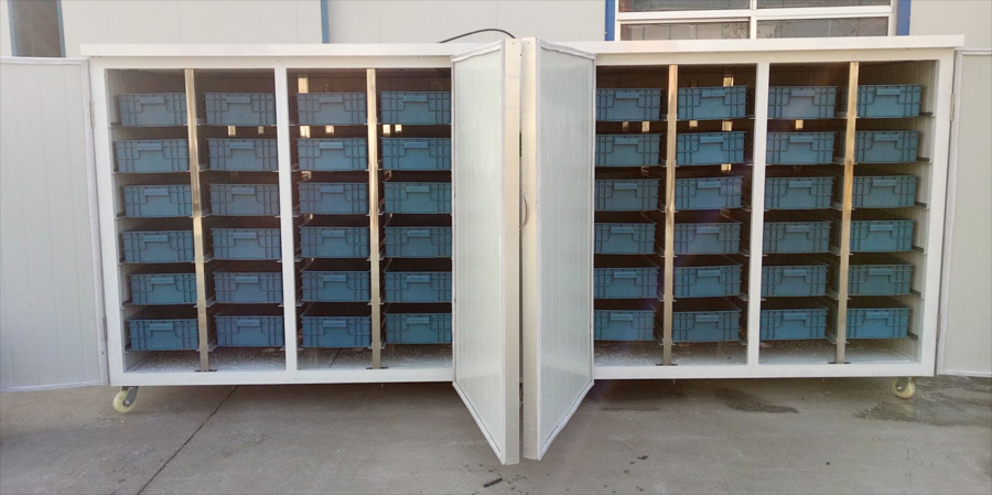 全自動花生芽機